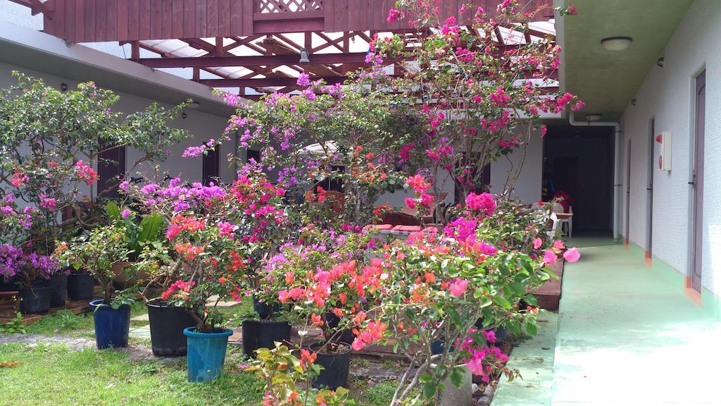 فندق زماميفي  Patio House Reef المظهر الخارجي الصورة